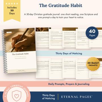 The Gratitude Habit
