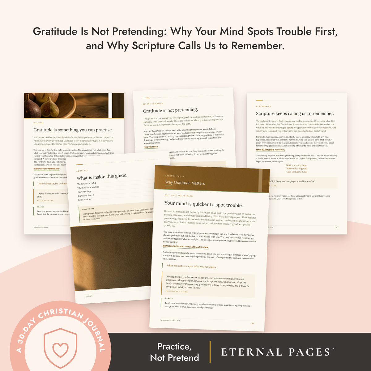 The Gratitude Habit